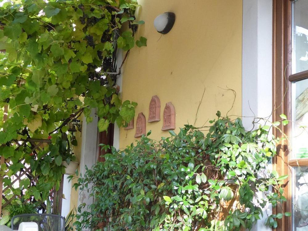 B&B Il Casale Di Nanni Lucca Exterior foto